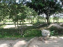 Image result for cambodia history killing fields