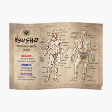 Kyusho Human Body Pressure Points Poster