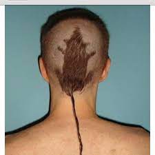 This Is Gross Eeeewwwww Haircut Funny Bad Haircut Haircut Fails