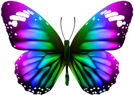 Butterfly Transparent Clip Art Png Image Butterfly Artwork Butterfly Art Butterfly Painting