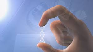 Paternity Disputes and DNA Testing in Illinois: Your Legal Guide