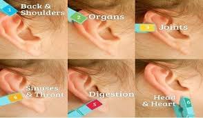 Pin On Mind And Body