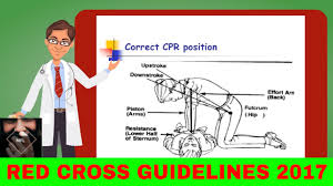 Each time you open the airway, look for the object. Bls Lifesupport Basic Life Support Adult Red Cross Guidelines How To Cpr Youtube
