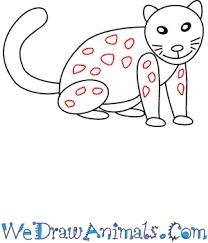 In this quick tutorial you'll learn how to draw a panther in just a few quick steps, but first… panthers are a part of the felidae, or cat, family. How To Draw A Simple Snow Leopard For Kids