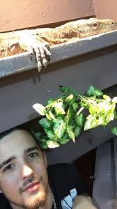 Herps reptile show in Slidell, LA