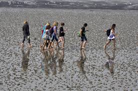 Die tiefe beträgt im durchschnitt nur 94 meter. Watt N Meer Unesco Weltnaturerbe Wattenmeer Regionen