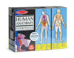 Anatomy arcade makes basic human anatomy come alive through awesome free flash games, interactives and videos. Amazon Com Melissa Doug Human Anatomy 2 Sided Jumbo Jigsaw Floor Puzzle 100 Pcs Over 4 Feet Tall Melissa D Floor Puzzle Puzzles For Kids Human Anatomy