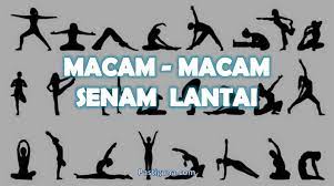 Papan tolak dalam senam alat dinamakan …. Senam Lantai Physical Ed Quizizz