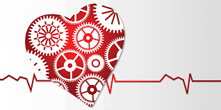 Eating sensibly with some modifications, as well as exercising, can keep your heart strong and healthy. 10 Supplements For A Healthy Heart Harvest Health Foods