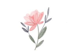 Draw a simple, tall vase. Cute Illustrated Pink Flower Flower Drawing Pink Flower Painting Flower Illustration