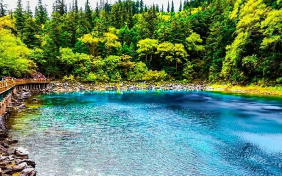 Five-color Lake - Most Beautiful Lake in Jiuzhaigou Valley