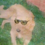 Linda VanFleet (lvanfleetford32)