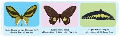 Kunci jawaban tema 3 kelas 4 halaman 48 49 50 52 buku tematik keberagaman makhluk hidup lingkunganku kunci jawaban buku tematik tema 3 kelas 4 sd/mi, ditujukan kepada orang tua atau wali sebagai pedoman dalam mengoreksi hasil belajar anak. Kunci Jawaban Tematik Kelas 4 Tema 3 Subtema 2 Halaman 48 49 50 52 Gawe Kami