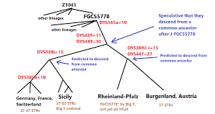 The table also gives some indication of how common those surnames are. New Swiss Sicilian Lineage Predicted In J Fgc55778 Mygrations
