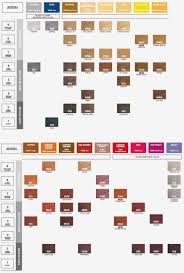 16 Interpretive Redken Hair Toner Color Chart