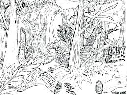 Animal Habitat Coloring Pages Animal Habitat Coloring Pages Animal Habitat Coloring Pages Jungle Coloring Pages Animal Coloring Pages Zoo Animal Coloring Pages
