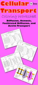 Review Or Assess Your Students Understanding Of Different Types Of Cellular Transport With This Colori Color Worksheets Animal Cells Worksheet Cells Worksheet