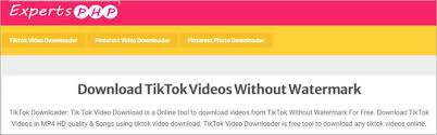 Download tiktok videos with tikmate.online pwa app pwa (progressive web apps) is an application that can provide additional features based on supported devices, provides offline capabilities, push notifications, and has the same interface and speed. 11 Best Tiktok Video Downloader How To Download Tiktok Videos