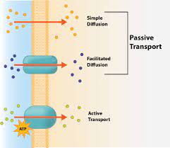 Carbohydrates (sugar), lipids (fats), and proteins. 11 Microbial Nutrition Biology Libretexts