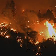 21 due to delta variant fears. Historic Heatwave Extreme Drought And Wildfires Plague North American West Climate Crisis In The American West The Guardian