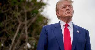 "ABSOLUTAMENTE LOCO": el MAQUIAVÉLICO PLAN de DEPORTACIONES MASIVAS de  DONALD TRUMP que tiene a los MIGRANTES en Estados Unidos en alerta - El  Cronista