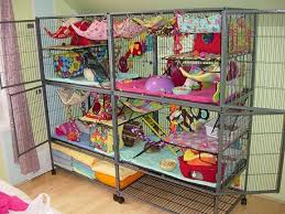 Pin On Pet Lovers