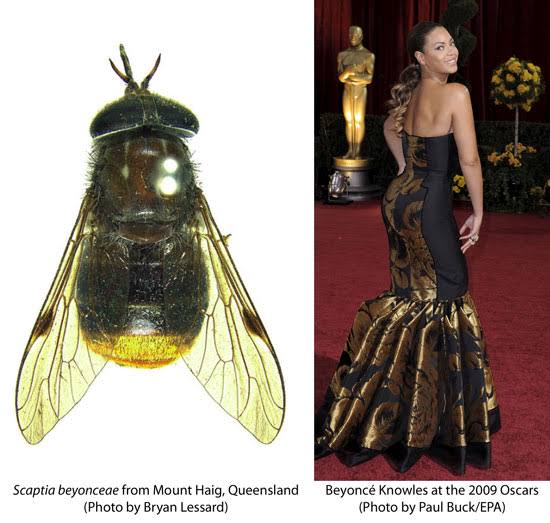 images?q=tbn:ANd9GcS1W80CBynALZuof0ebzka