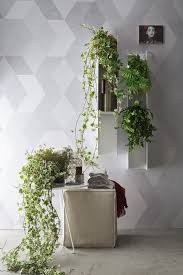 Idee per interni → collezioni di piante da interno pendenti. Piante O Candele Per Decorare Il Bagno E La Casa A Casa Di Guido