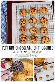 Cake Mix Pumpkin Chocolate Chip Cookies Walking On Sunshine Recipe Pumpkin Chocolate Chip Cookies Pumpkin Chocolate Pumpkin Chocolate Chips