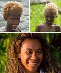 One hypothesis about australian aboriginal blondeness is that it is due to admixture with europeans, in particular people with auburn hair have relatively high levels of both. New Discovery Shows How Hair Of All Textures Types And Colors Are Unique And Beautiful Black And Blonde Melanesian People Big Natural Hair