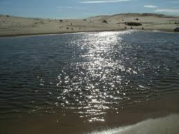 Maybe you would like to learn more about one of these? Silver Lake Sand Dunes Michigan
