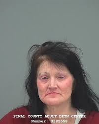 Pinal County Sheriff's log 12/22/23