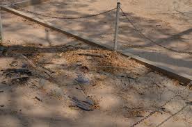 Image result for cambodia history killing fields