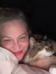 Missing Cat in Banora Point Area