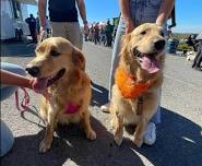 Griffin Pond Animal Shelter BARKtober Fest