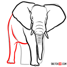 Probably the most prominent feature of an elephant is its trunk. How To Draw An Elephant Front View Wild Animals Sketchok Easy Drawing Guides