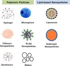 Polymeric And Lipid Based Drug Delivery Systems For Treatment Of Glioblastoma Multiforme Sciencedirect