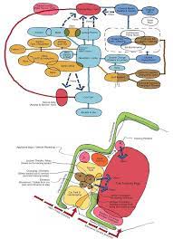 Viewing Project Fire Training Centre Exeter Airport Architecture Concept Diagram Bubble Diagram Architecture Concept Diagram
