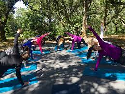 1,733 likes · 20 talking about this · 241 were here. Best Yoga Outdoors San Francisco Bay Area Body Flows Yoga California