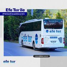 Coelho em 360 rabbit tur around. Efe Tur Fotos Facebook