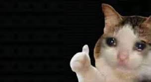 images?q=tbn:ANd9GcS1WOHocX9rnf8Z1MeIBKJ