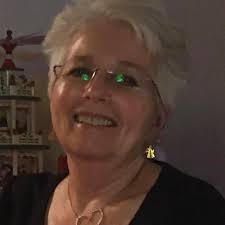 Volunteer Sunflower Plant in Unexpected Spot