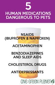 5 Common Human Medications That Are Dangerous To Pets Pet Health Dog Insurance Pets