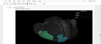 Quickly find network and performance issues with built in hints and warnings. In Brainrender Is There A Way To At Labels And Stop The Brain From Load Upside Down Stack Overflow