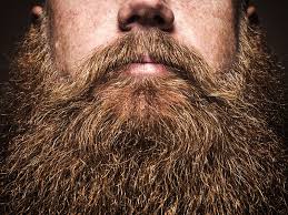 How to use beard balm on short beard. Men Really Wanted To Know How To Use Beard Balm This Year Gq