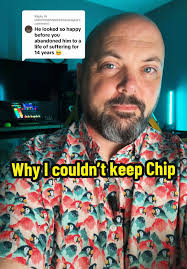 Por qué no pude quedarme con Chip: una historia profunda