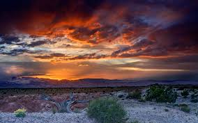 Follow the vibe and change your wallpaper every day! Desert Sunset Wallpapers Top Free Desert Sunset Backgrounds Wallpaperaccess