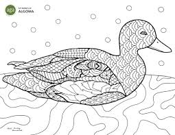Explore 623989 free printable coloring pages for your kids and adults. Aga Colouring Pages Art Gallery Of Algoma