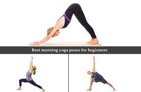 Check spelling or type a new query. Best Morning Yoga Poses For Beginners Ekam Yogashala