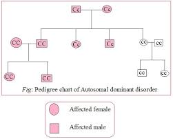 Solved How Is An X Linked Trait Different From An Autosomal